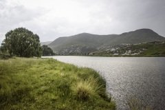 A quiet moment in the Mahloti Mountains, Eastern Cape Province, South Africa.