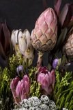 Close up of Protea flower arrangement.