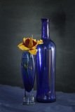 Blue bottle and glass  with a bright orange flower..