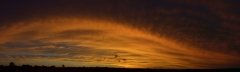 Wide panorama of curved clouds in a orange-red sunset.